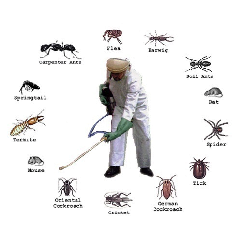 PEST CONTROL